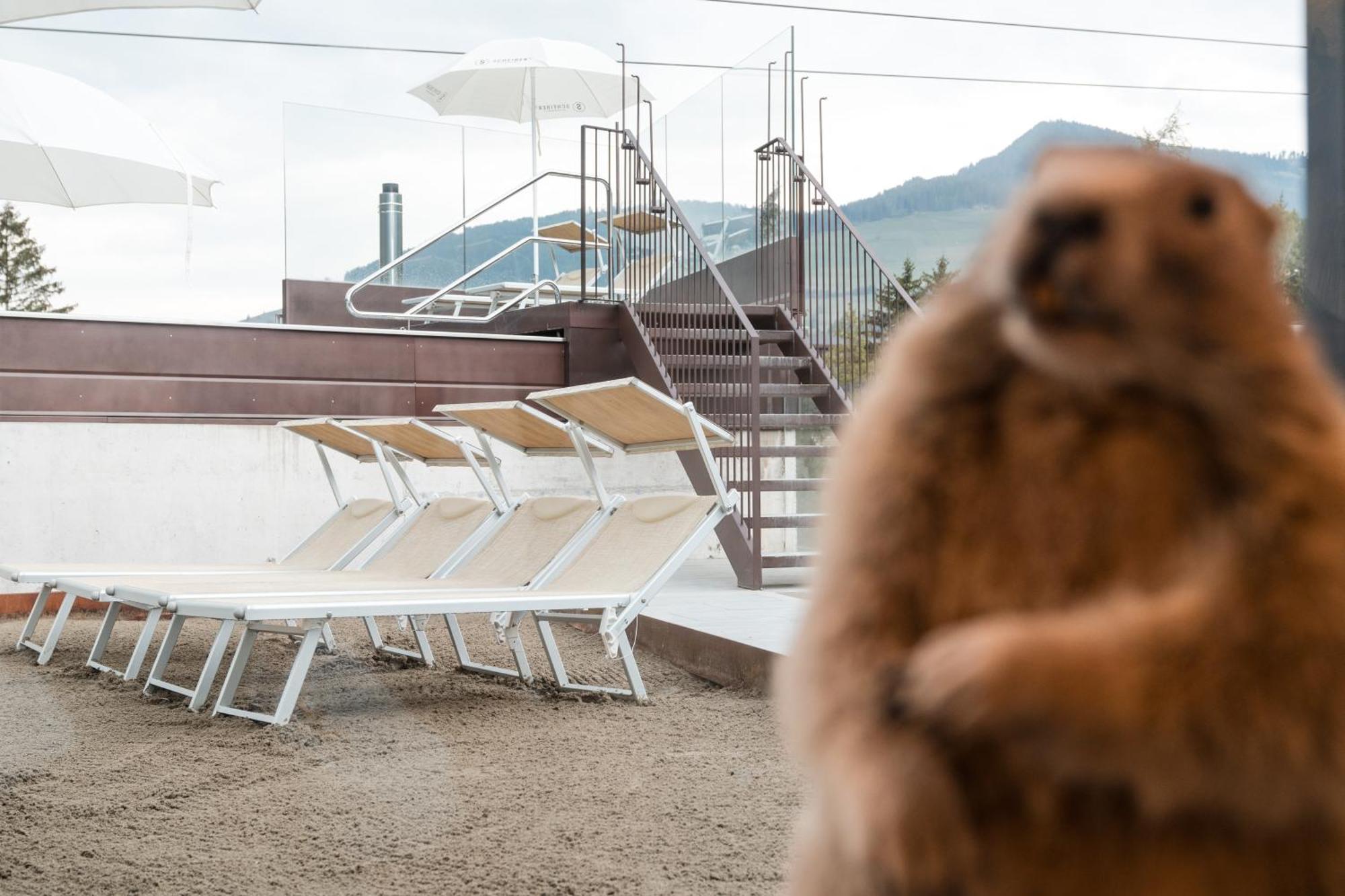 Al Plan, A Mountain Moving Hotel 圣维吉利奥 外观 照片
